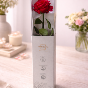 Rose rouge stabilisée