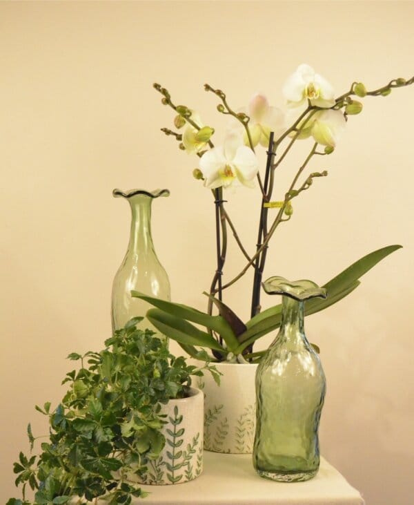 Vase verre vert – Image 2