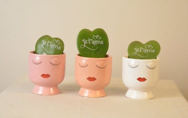 Collection de Pots "Je t’aime"