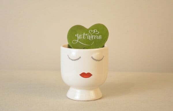 Collection de Pots "Je t’aime" – Image 3