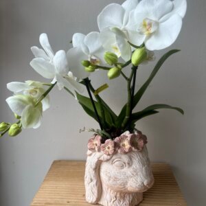 Orchidée et son pot lapin