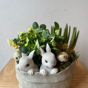 Composition de plantes