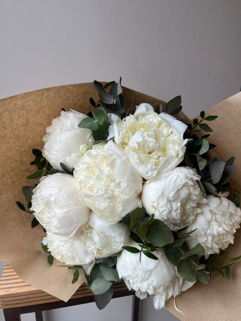 Bouquet de pivoines