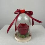 rose stabilisé dans cloche en verre