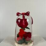 Cloche avec 2 roses stabilisées