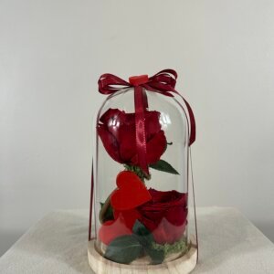 Cloche avec 2 roses stabilisées