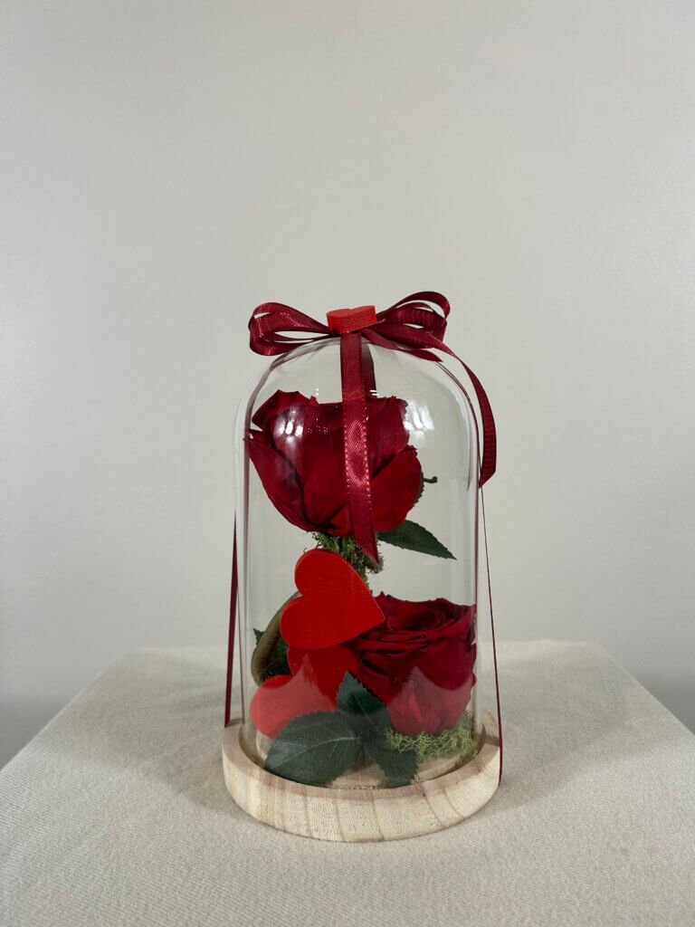Cloche avec 2 roses stabilisées